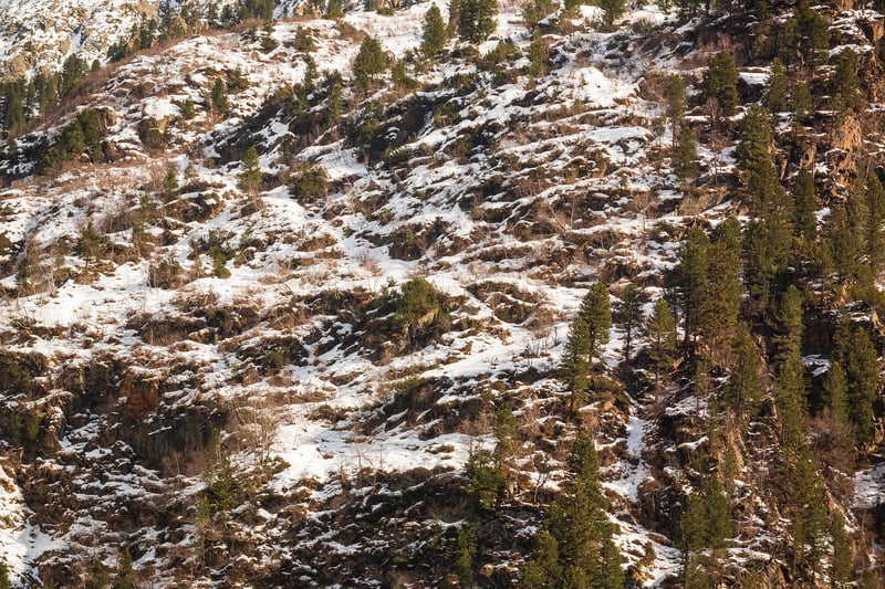 Exploration Trails