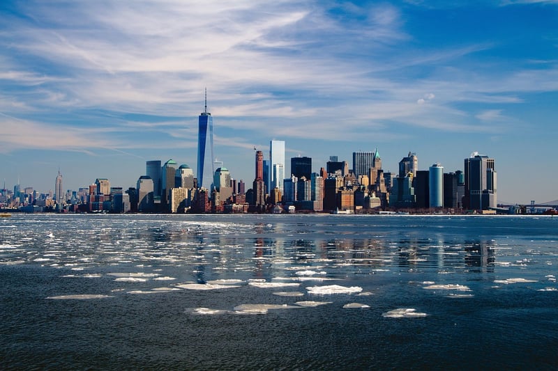 New York City Street Food